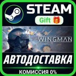 Project Wingman Steam Gift СТИМ ГИФТ ПК АВТОДОСТАВКА ПОДАРОК
