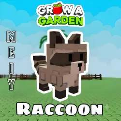 RACCOON | Grow a Garden