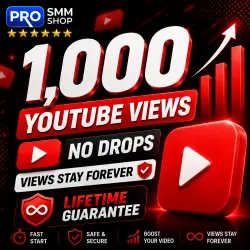 1000 YouTube Views. Non drop. Lifetime