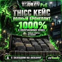 [PvE] THICC Case Filled with Armor Plates | Any Plates of Your Choice
