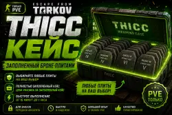 [PvE] THICC Case Filled with Armor Plates | Any Plates of Your Choice
