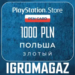 PlayStation Network Card 1000 PLN (PL) Poland