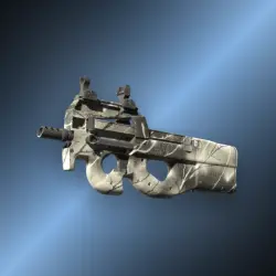 P90 | Ash Wood (Well-Worn)