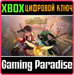 Гарри Поттер: Чемпионы по квиддичу Xbox Series X|S + One Ключ