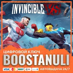 Invincible VS Standard Edition (PS4/PS5) — to your PlayStation account
