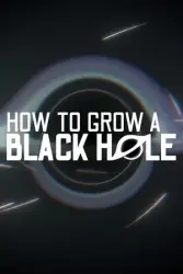 How To Grow a Black Hole — STEAM АВТОДОСТАВКА