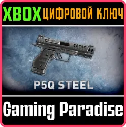 P5Q STEEL Xbox Series X|S + One Ключ