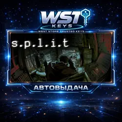 s.p.l.i.t • Ключ Steam (Россия, СНГ, Мир | Автовыдача API)