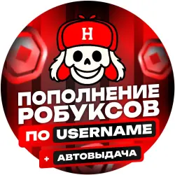 АВТО 24/7 Пополнение по никнейму | по @username | Roblox Plus (16+)