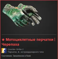 Motorcycle Gloves | Turtle