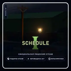 Schedule I (Steam Gift) ·· Автодоставка 24/7