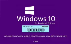 Microsoft Windows 10 Pro (Professional) / Electronic activation key / online