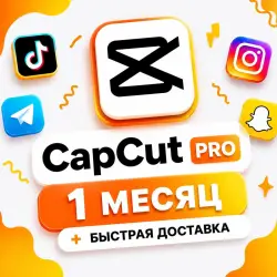 CapCut Pro | 1 month subscription