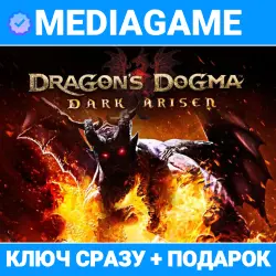 Dragon's Dogma: Dark Arisen (Steam Key, Russia + CIS)