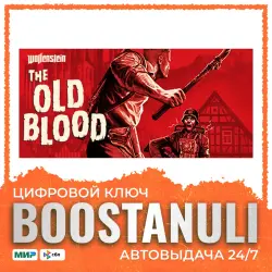 Wolfenstein: The Old Blood | MENA — Steam key