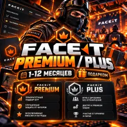 FACEIT PREMIUM / PLUS | 1-12 МЕСЯЦЕВ | ПОДАРКОМ | Korob04ka — CS2, лот №253742