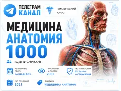 Telegram channel, Medicine and Anatomy, Full transfer of the owner’s rights