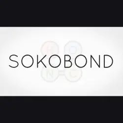 АВТО 24/7 | Sokobond | Epic Games Издания + DLC | ЛЮБОЙ РЕГИОН