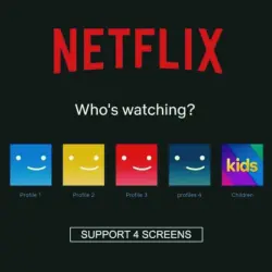 Netflix Premium – 4 Screens