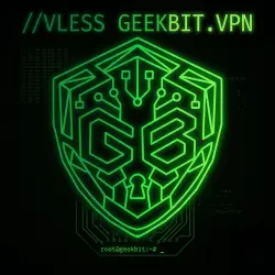 VLESS VPN FOR GEEKS