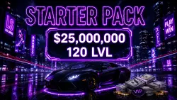 Starter Pack: $25,000,000 + Level 120 + Property in GTA 5