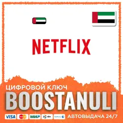 Netflix Gift Card (AE) — code