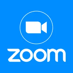 Zoom Pro — 1 месяц