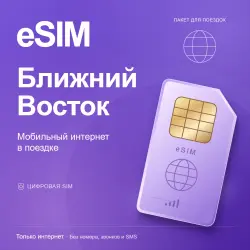 eSIM Ближний Восток — мобильный интернет в поездке