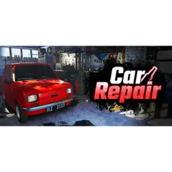 Car Repair | STEAM AUTO-DELIVERY