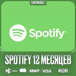 SPOTIFY PREMIUM — INDIVIDUAL SUBSCRIPTION · 12 MONTHS