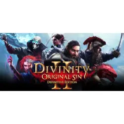 Divinity: Original Sin 2 | STEAM AUTO-DELIVERY