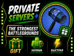 PRIVATE SERVERS+