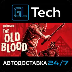 Wolfenstein: The Old Blood AUTODELIVERY Steam GIFT