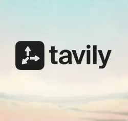Tavily Project（4000 API credits ）Subscription 1Month