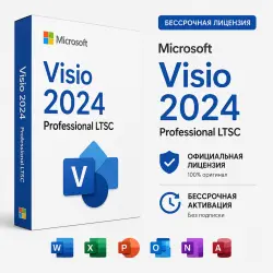 Microsoft Visio 2024 Professional LTSC activation key electronic