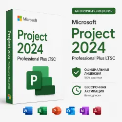 Microsoft Project 2024 Professional Plus LTSC Электронный ключ активации