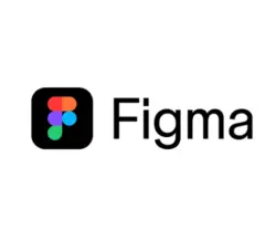 Figma 1 year Full Seat Plan