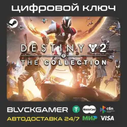 GLOBAL Destiny 2: The Collection 2026 (STEAM) - Key