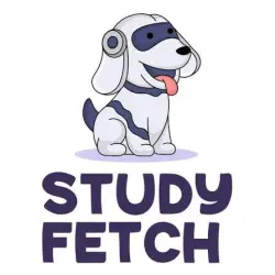Study Fetch Premium 1Monthly To your account