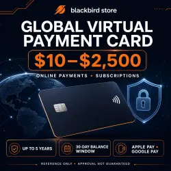 Global Virtual Visa Card USD $10–$2,500 | Rechargeable | Online Payments