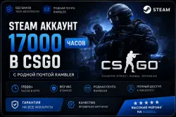 Steam CS:GO Account with 17,000+ Hours, Faceit Access and Rambler Email