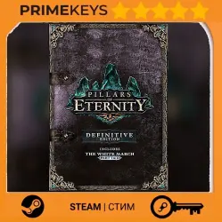 Pillars of Eternity (Definitive Edition) Steam key/Gift EUROPE