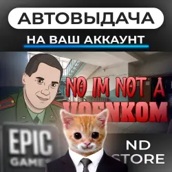 AUTO 24/7 | No I'm not a Voenkom | Epic Games Editions + DLC | ANY REGION
