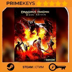 Dragon's Dogma: Dark Arisen Steam key/Gift EUROPE