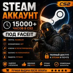 Steam Account 15000+ CS:GO Hours for FACEIT | Rambler