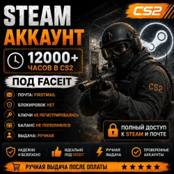 Steam Account 12000+ Hours CS2 | CS:GO for FACEIT | Firstmail