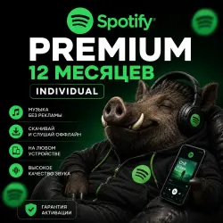 24/7 SPOTIFY PREMIUM  | On your account | 12 месяцев Individual 