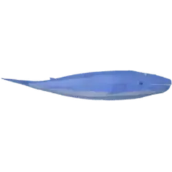 Blue whale [Rare] — Fisch