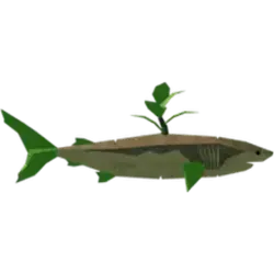Carrot Shark [Uncommon] — Fisch