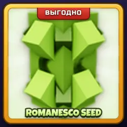 🎁 ROMANESCO SEED | Grow a Garden | ПОДАРКОМ | Семена Романеско / Романеско Сид